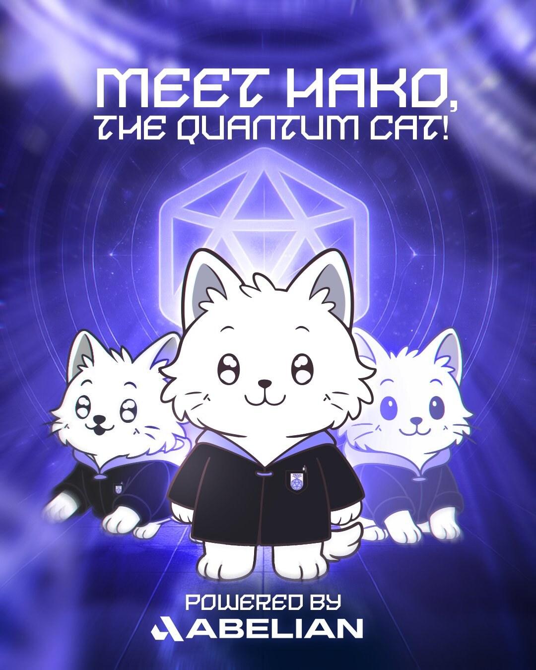 Meet Hako — second social campaign variant