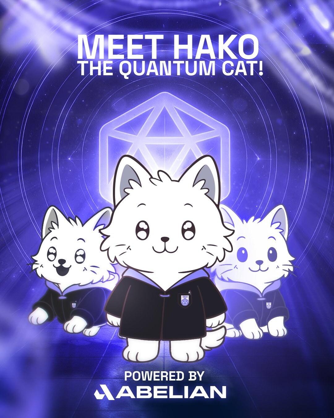 Meet Hako, the Quantum Cat — social campaign key visual